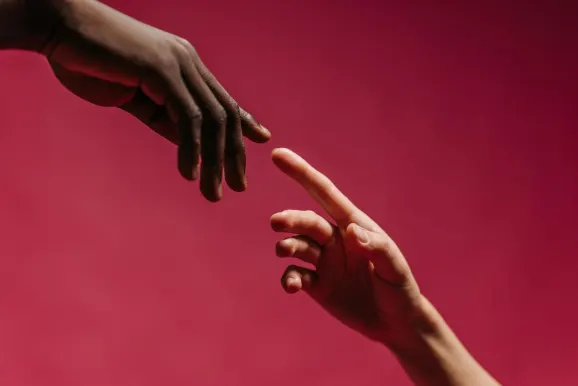 Casino Red Kings Suporte